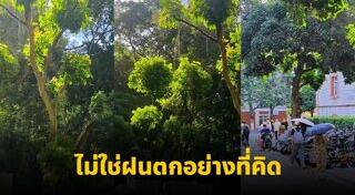 ความรู้รอบตัว
