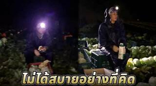 กะหล่ำปลี