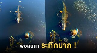 นักดำน้ำ