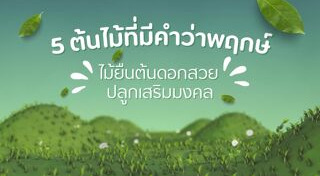 จัดบ้าน