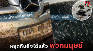 อึ่งอ่าง