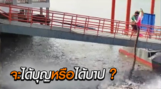 อาหารสัตว์เลี้ยง