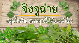 สมุนไพรจีน