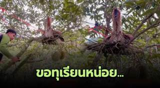 นกหายาก