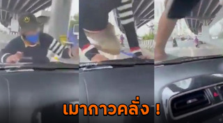 ตำรวจจับคนเมายา