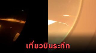 เครื่องบินชนนก