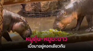 สวนสัตว์เปิดเขาเขียว