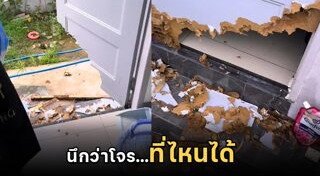 ดัลเมเชียน