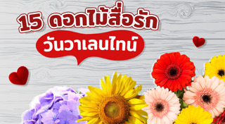 ดอกกุหลาบ