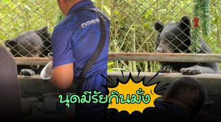 เขาใหญ่
