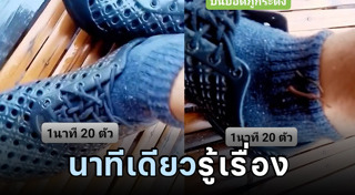 ภูกระดึง