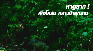 อุทยานแห่งชาติแม่วงก์