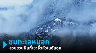 ทะเลหมอก