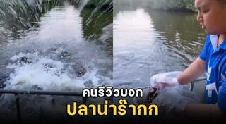 ปล่อยปลา