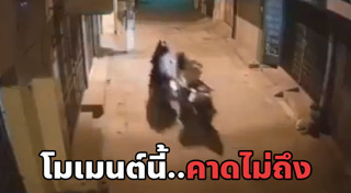 ผู้หญิงขับรถ