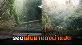 ภัยธรรมชาติ