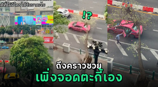 ต้นไม้ล้มทับคน