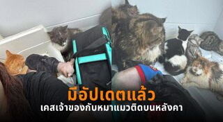 น้ำท่วมสงขลา