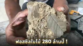 ข่าววิทยาศาสตร์