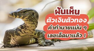 ตัวเงินตัวทอง