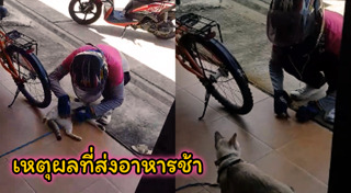 มนุษย์กับสัตว์