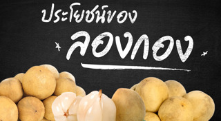 ผลไม้เมืองร้อน