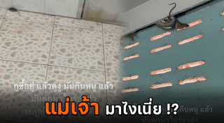 งูกินหนู