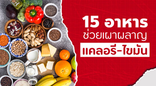 เผาผลาญไขมัน