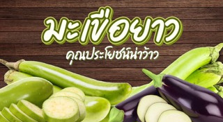 มะเขือยาว