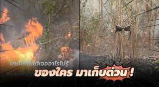ไฟไหม้ป่า