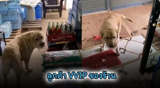 หมาแสนรู้