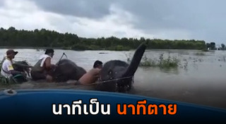 ควาญช้าง