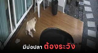 ตกบ่อน้ำ