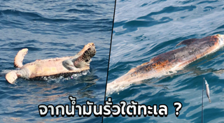 น้ำมันรั่ว