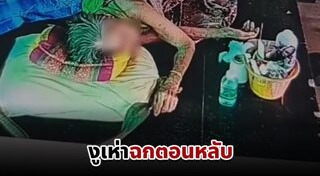 งูเข้าบ้าน