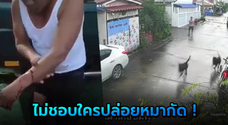 ร็อตไวเลอร์