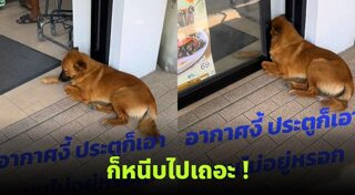 อากาศร้อน