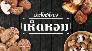 เห็ดหอม