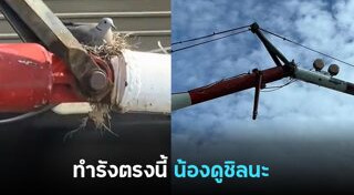 พฤติกรรมสัตว์