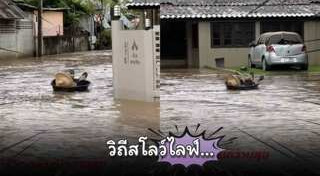 น้ำท่วมไต้หวัน