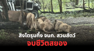 อุบัติเหตุ