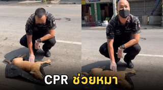 วิธีทำ cpr