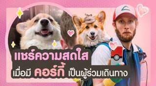 คอร์กี้