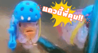 ปลาสวยงาม