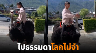 นกกระจอกเทศ