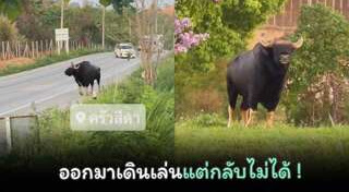 วังน้ำเขียว