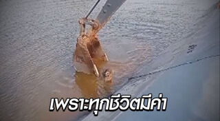 รถแบ็กโฮ