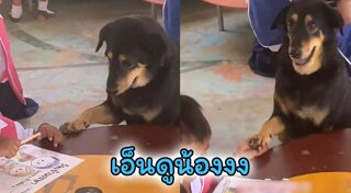 หมาน่ารัก