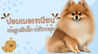 ปอมเมอเรเนียน