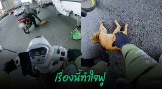 เรื่องราวดี ๆ